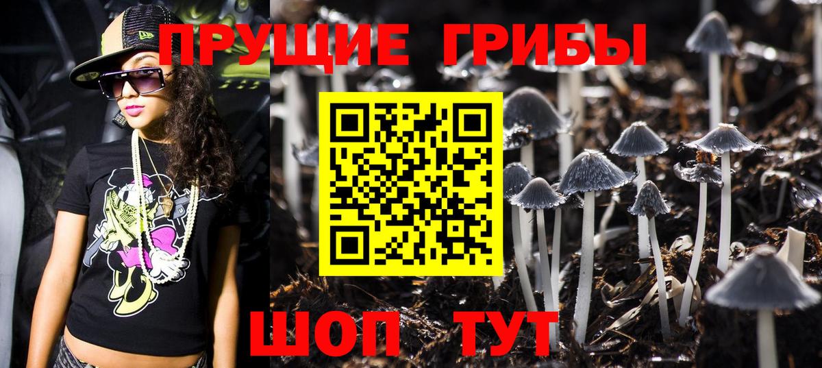 Псков  Галлюциногенные грибы GOLDEN TEACHER  Вход с VPN 