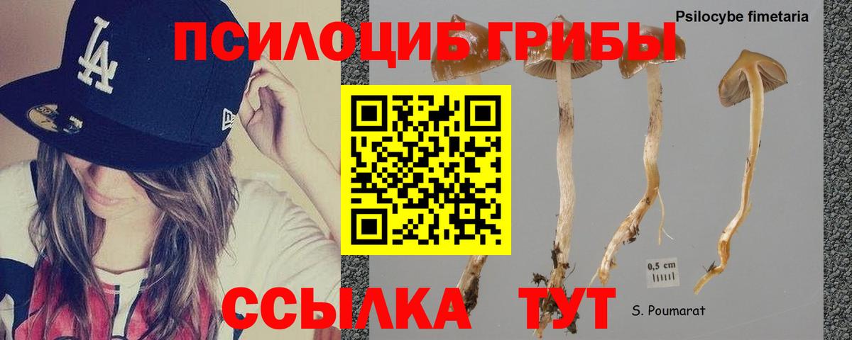 Галлюциногенные грибы MAGIC MUSHROOMS Псков